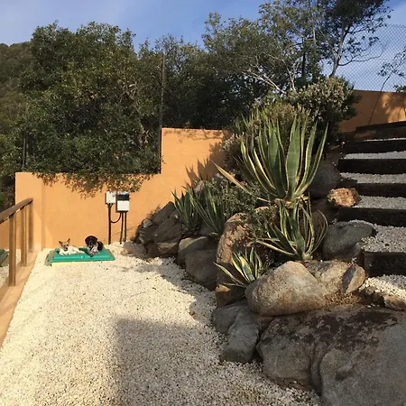 Ferienhaus Casa La Gavina Blanca *