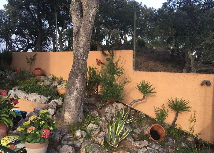 Casa La Gavina Blanca *